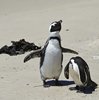 Namibia_2013 (216)