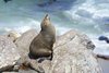 Namibia_2013 (120)