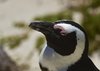 Namibia_2013 (217)