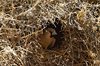 Namibia_2013 (145)