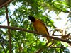 Namibia_2013 (64)