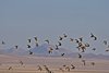 Namibia_2013 (173)