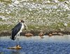 Namibia_2013 (56)
