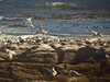 Namibia_2013 (224)