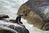 Namibia_2013 (208)
