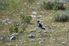 Namibia_2013 (52)