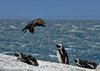 Namibia_2013 (213)
