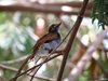 Namibia_2013 (95)