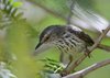 Namibia_2013 (191)