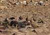 Namibia_2013 (174)