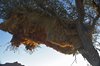 Namibia_2013 (151)