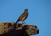 Namibia_2013 (248)