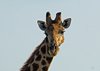 Namibia_2013 (40)
