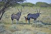 Namibia_2013 (41)