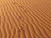 Namibia_2013 (154)