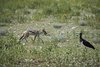 Namibia_2013 (53)