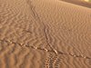 Namibia_2013 (156)
