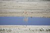 Namibia_2013 (22)