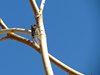 Namibia_2013 (103)