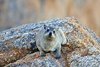 Namibia_2013 (185)