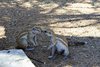 Namibia_2013 (141)