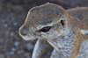 Namibia_2013 (144)