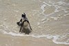 Namibia_2013 (220)