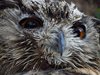 Namibia_2013 (262)