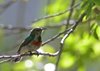 Namibia_2013 (200)