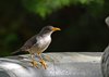 Namibia_2013 (203)
