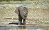 Namibia_2013 (59)