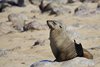 Namibia_2013 (115)