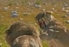Namibia_2013 (44)