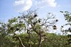 Namibia_2013 (90)