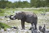 Namibia_2013 (15)