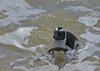 Namibia_2013 (221)