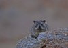 Namibia_2013 (177)