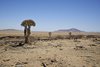 Namibia_2013 (136)
