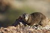 Namibia_2013 (187)