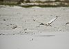 Namibia_2013 (256)