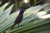 Namibia_2013 (205)