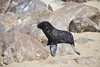 Namibia_2013 (118)