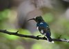 Namibia_2013 (196)