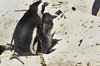 Namibia_2013 (214)