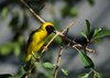 Namibia_2013 (31)