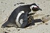 Namibia_2013 (215)
