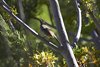 Namibia_2013 (193)