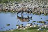Namibia_2013 (35)