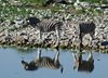 Namibia_2013 (36)
