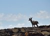 Namibia_2013 (184)